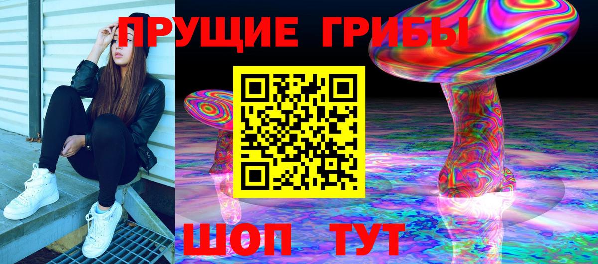 Галлюциногенные грибы Psilocybine cubensis  Вход с VPN  Кулебаки 