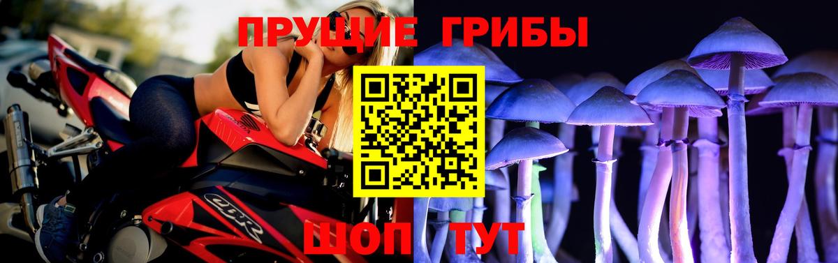 Галлюциногенные грибы GOLDEN TEACHER Кулебаки
